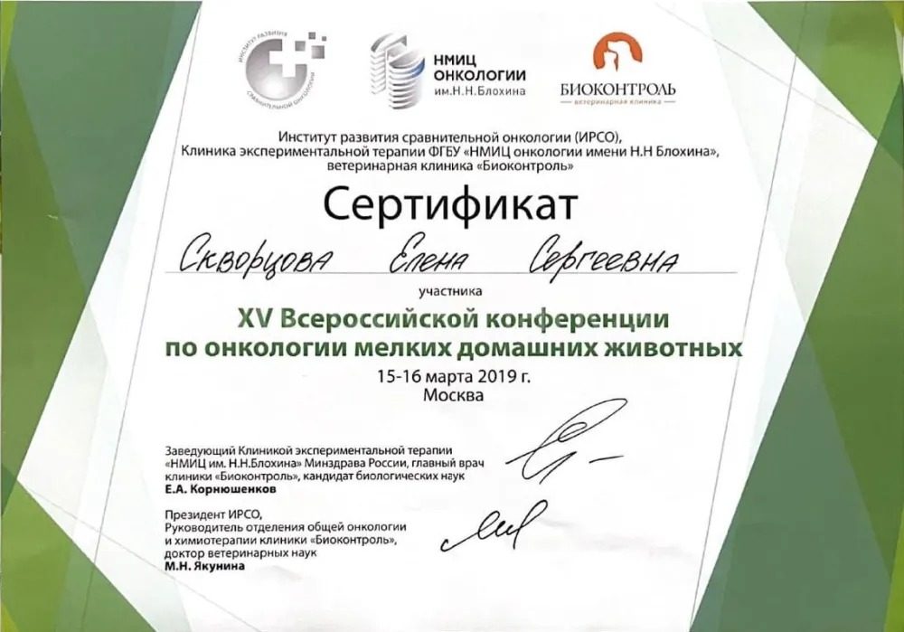 Документ или сертификат