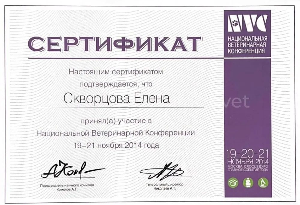Документ или сертификат