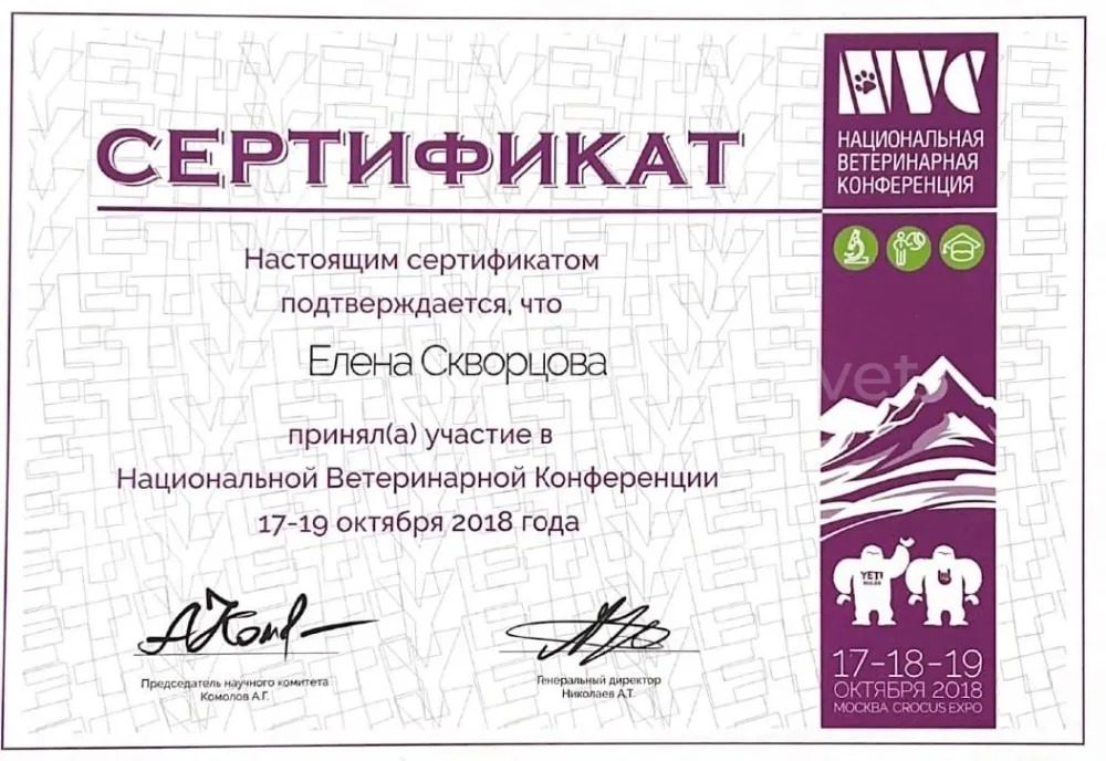 Документ или сертификат