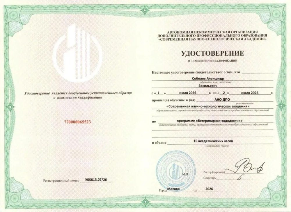 Документ или сертификат