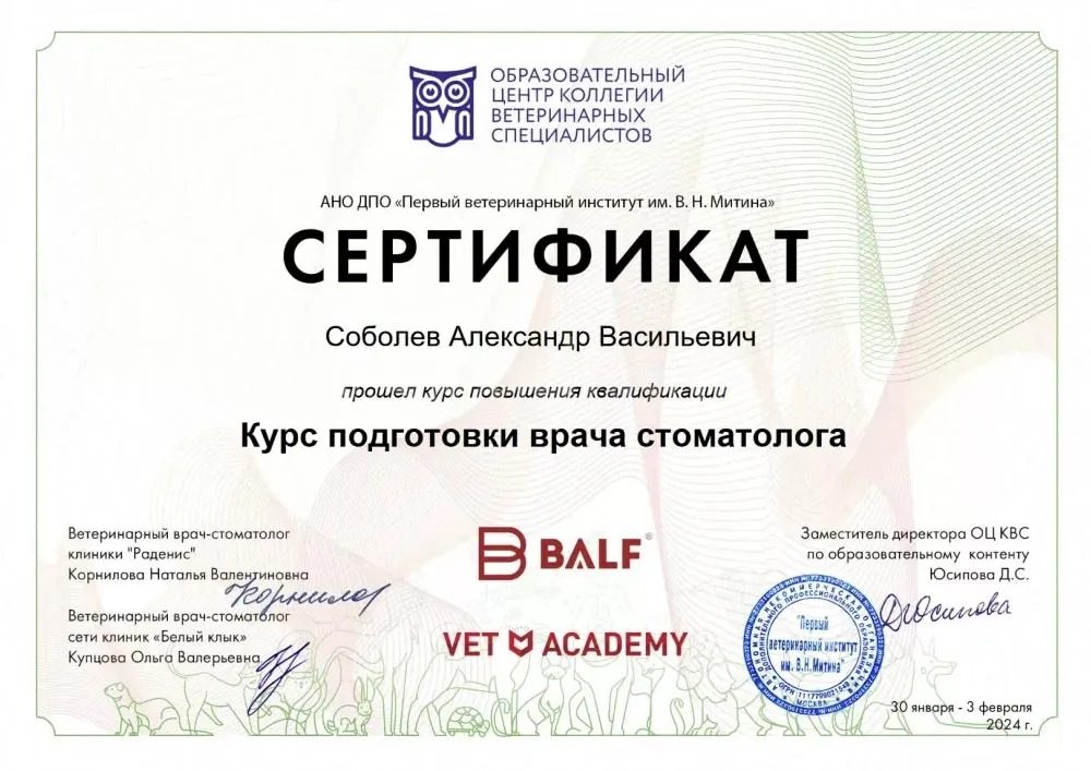 Документ или сертификат