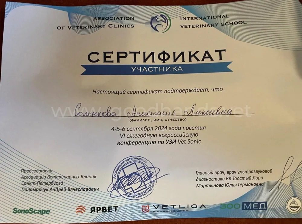 Документ или сертификат