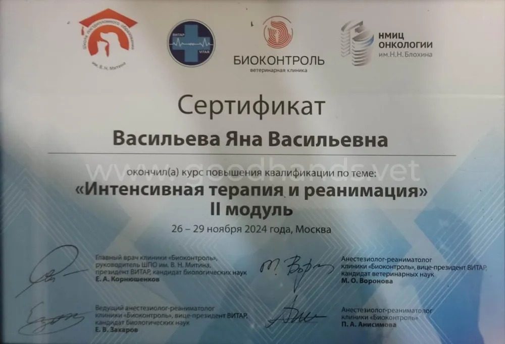 Документ или сертификат