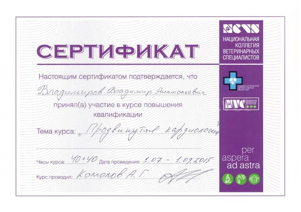 Документ или сертификат