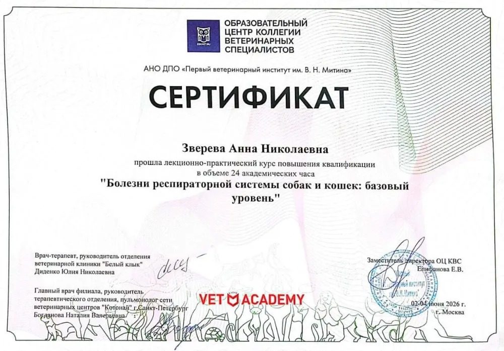 Документ или сертификат