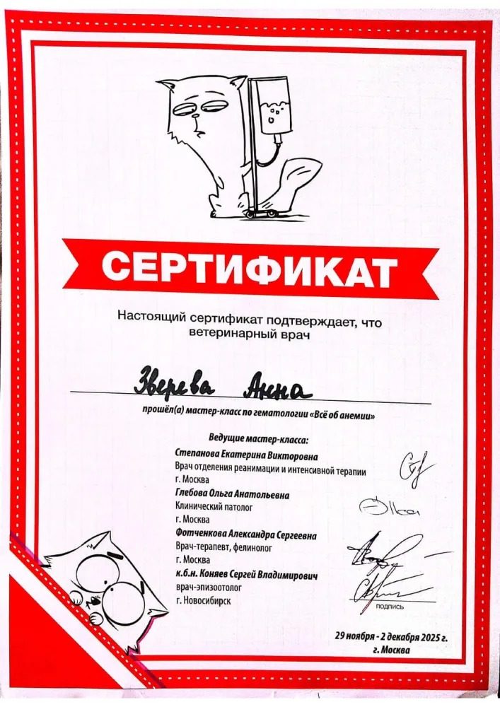 Документ или сертификат