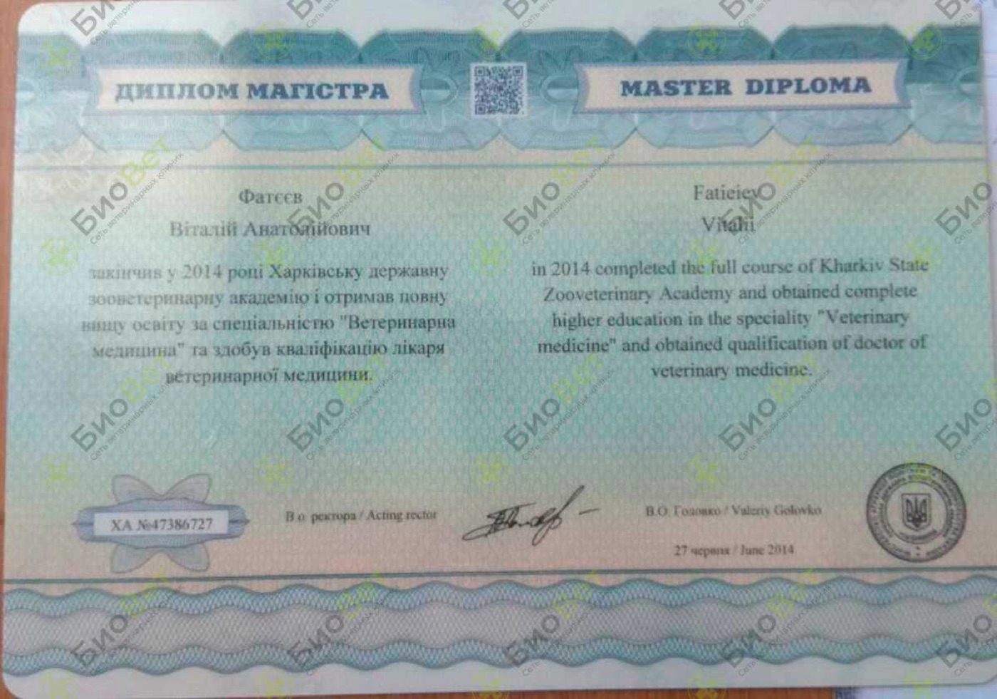 Документ или сертификат