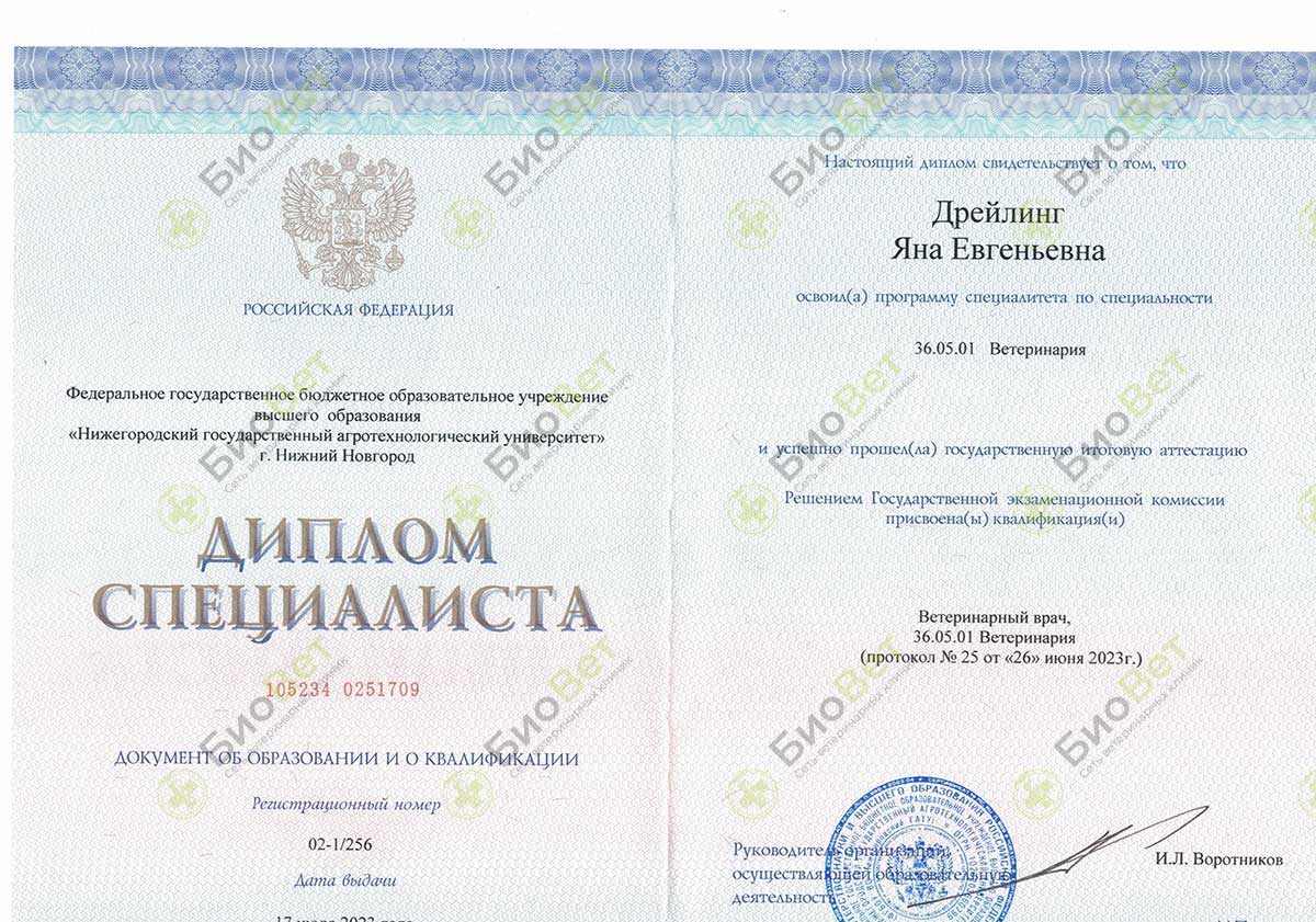Документ или сертификат