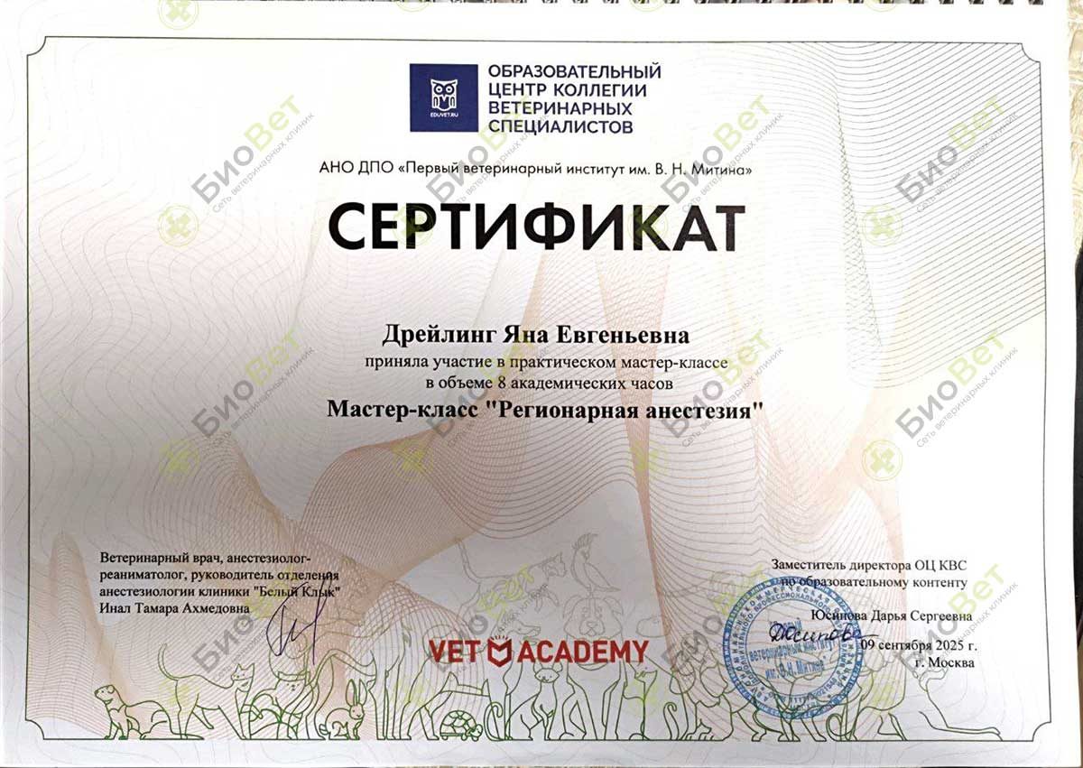 Документ или сертификат