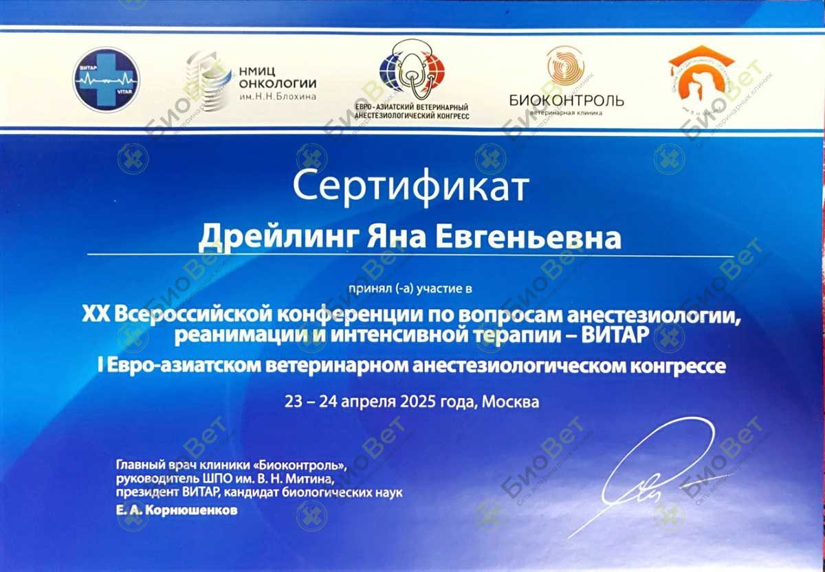 Документ или сертификат
