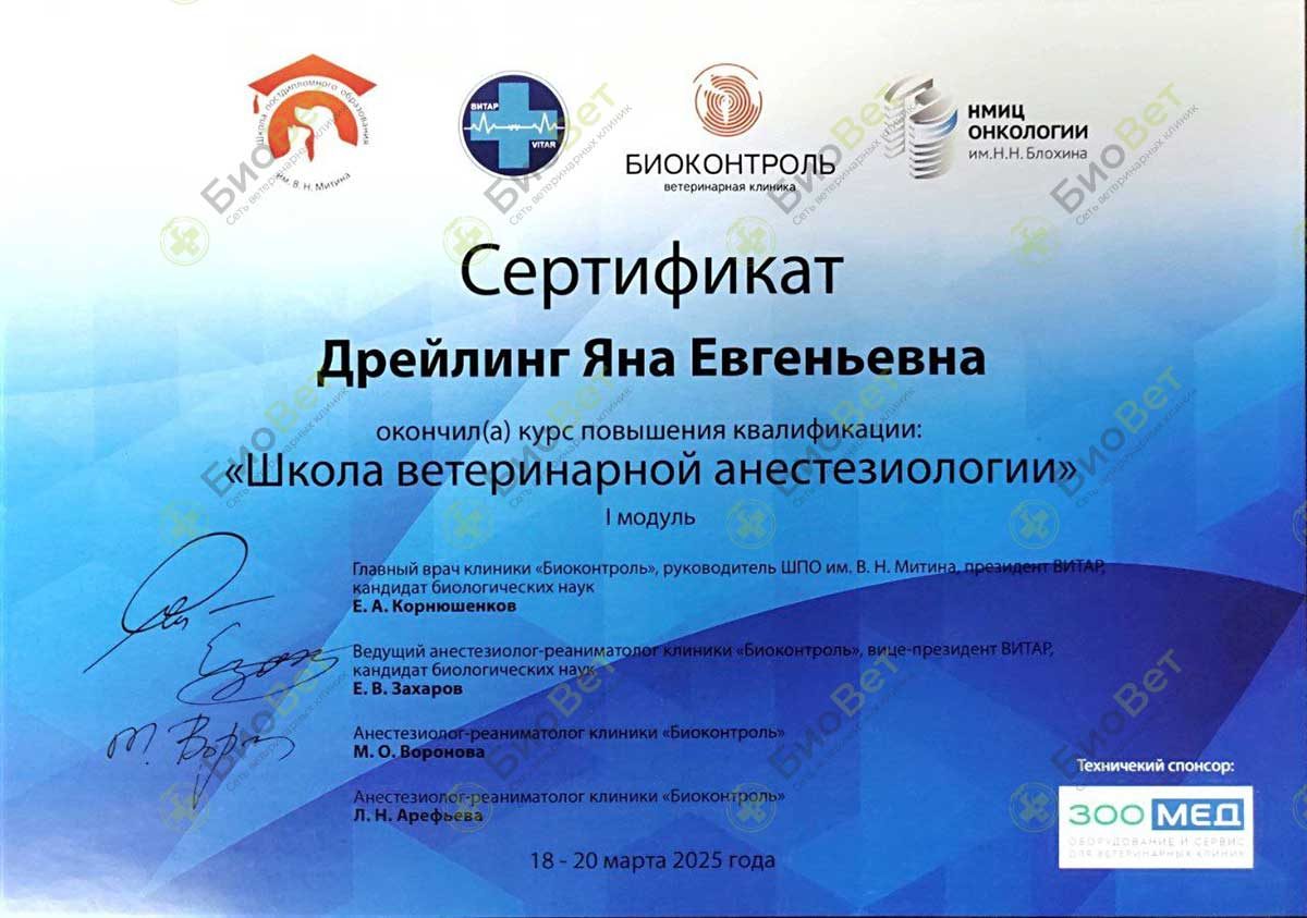 Документ или сертификат