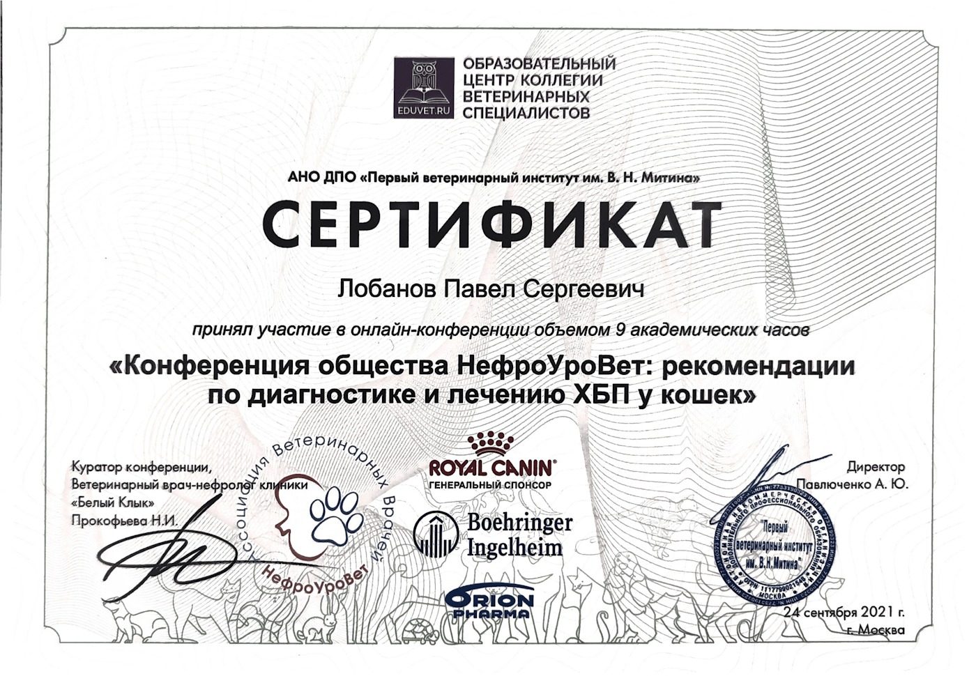 Документ или сертификат