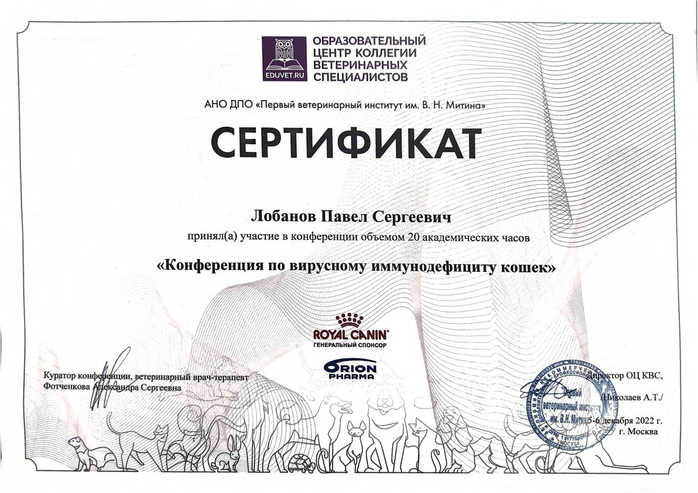 Документ или сертификат