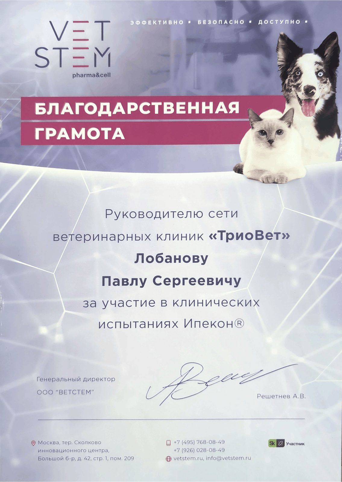 Документ или сертификат