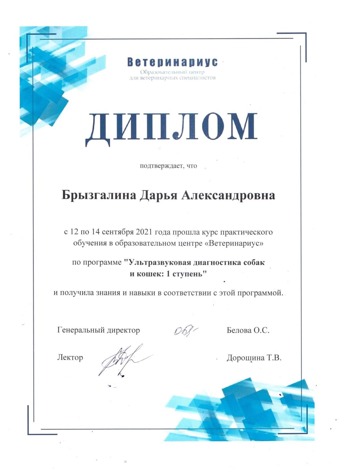 Документ или сертификат