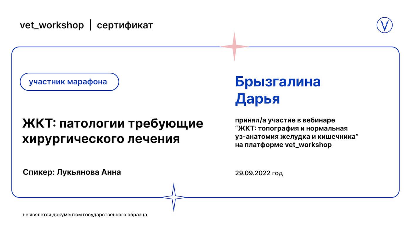 Документ или сертификат