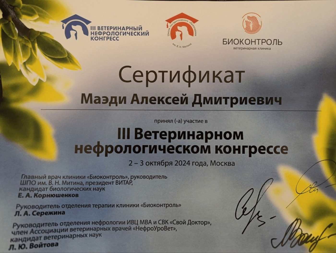 Документ или сертификат