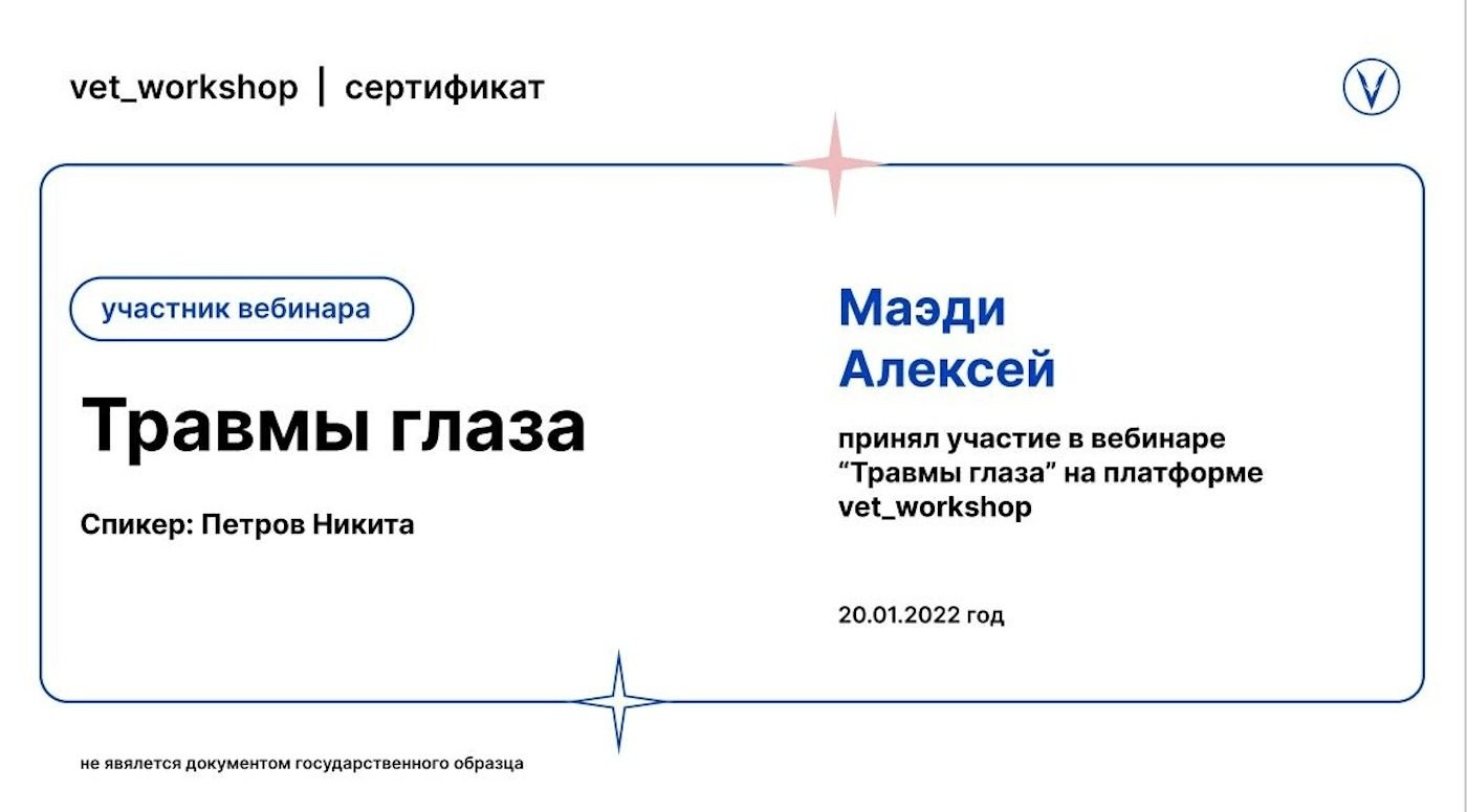 Документ или сертификат