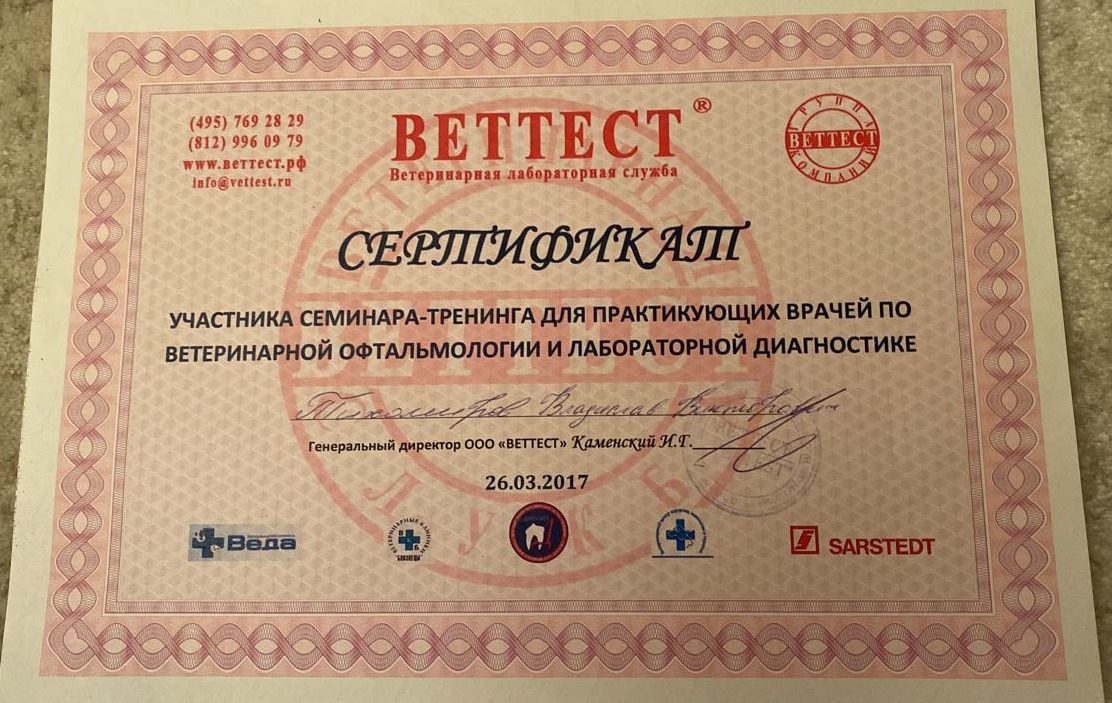 Документ или сертификат