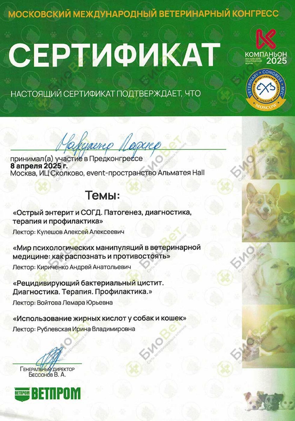 Документ или сертификат