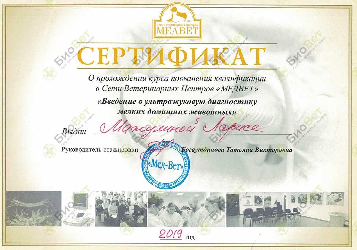 Документ или сертификат