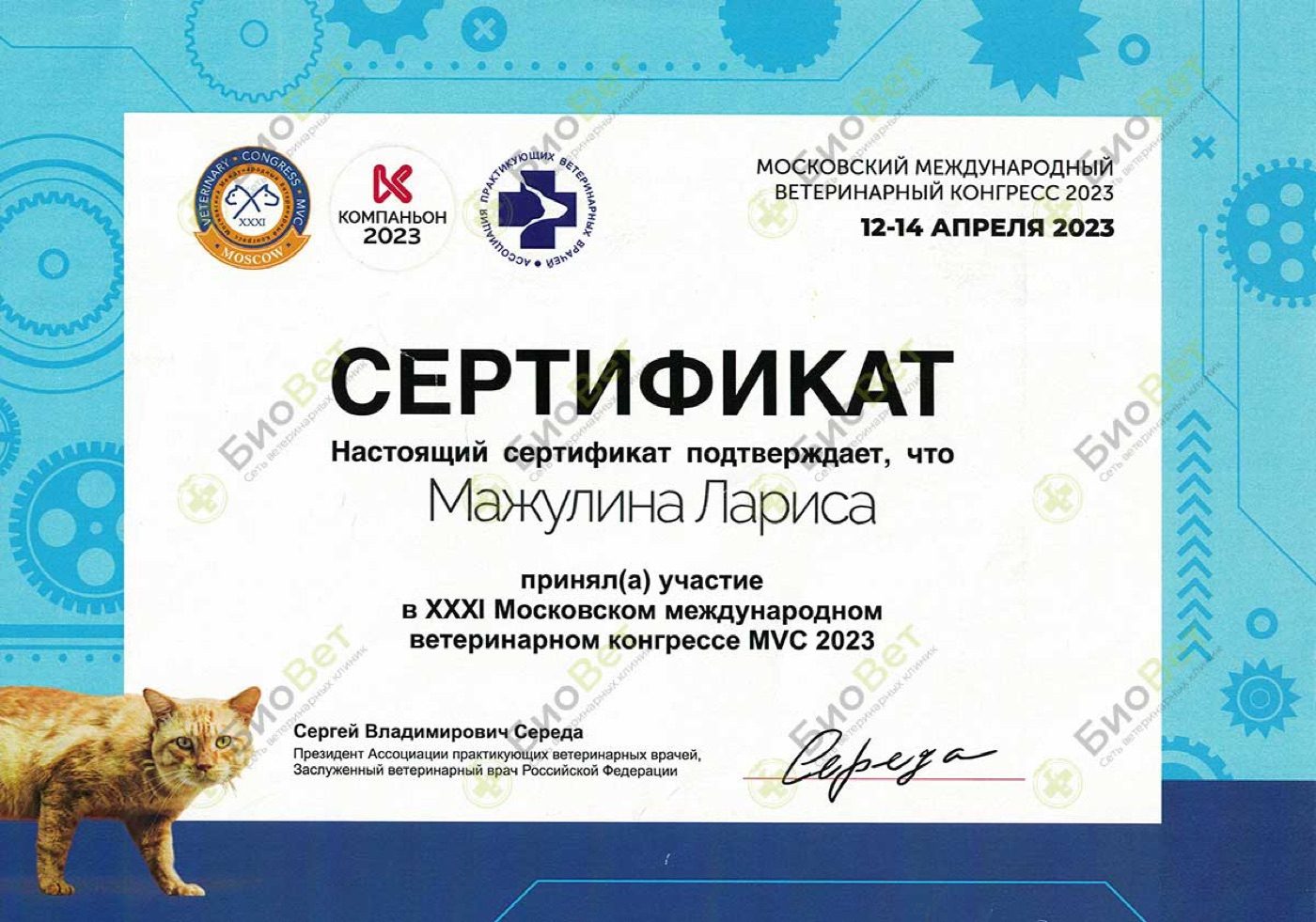 Документ или сертификат