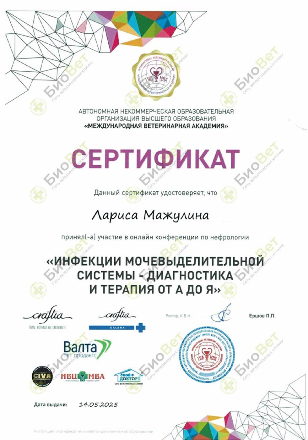 Документ или сертификат