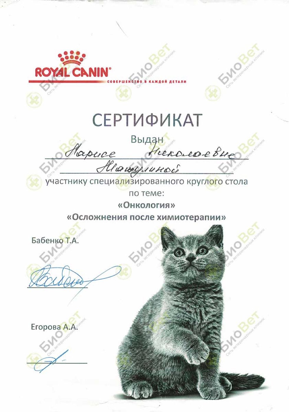 Документ или сертификат
