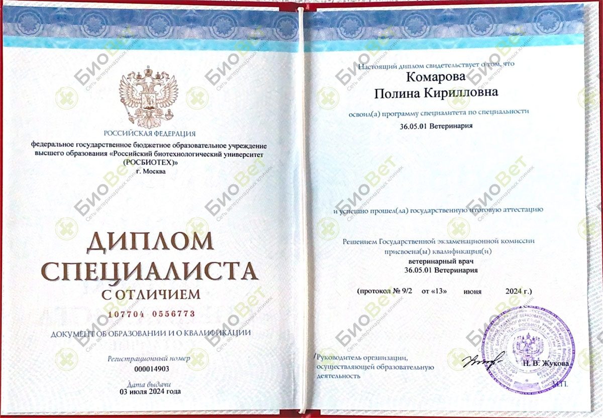 Документ или сертификат