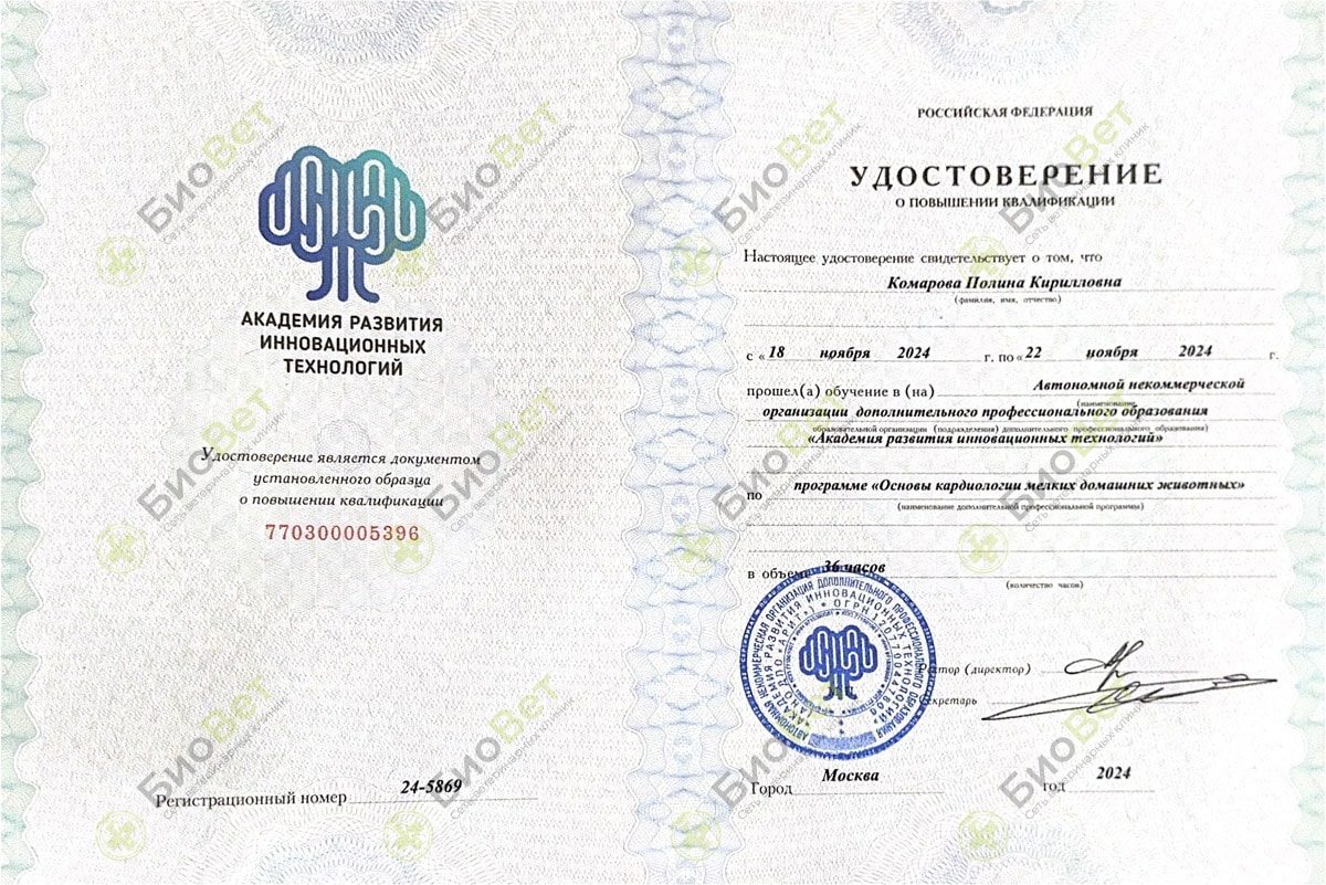Документ или сертификат