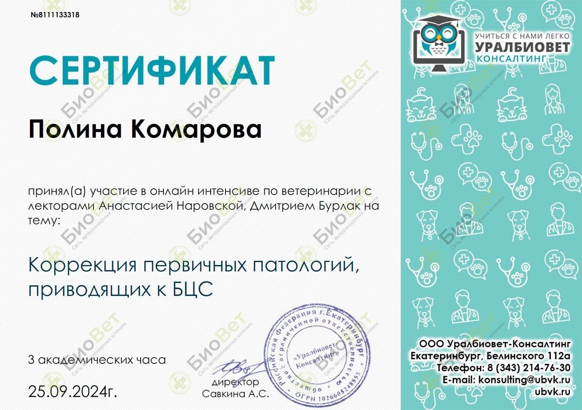 Документ или сертификат