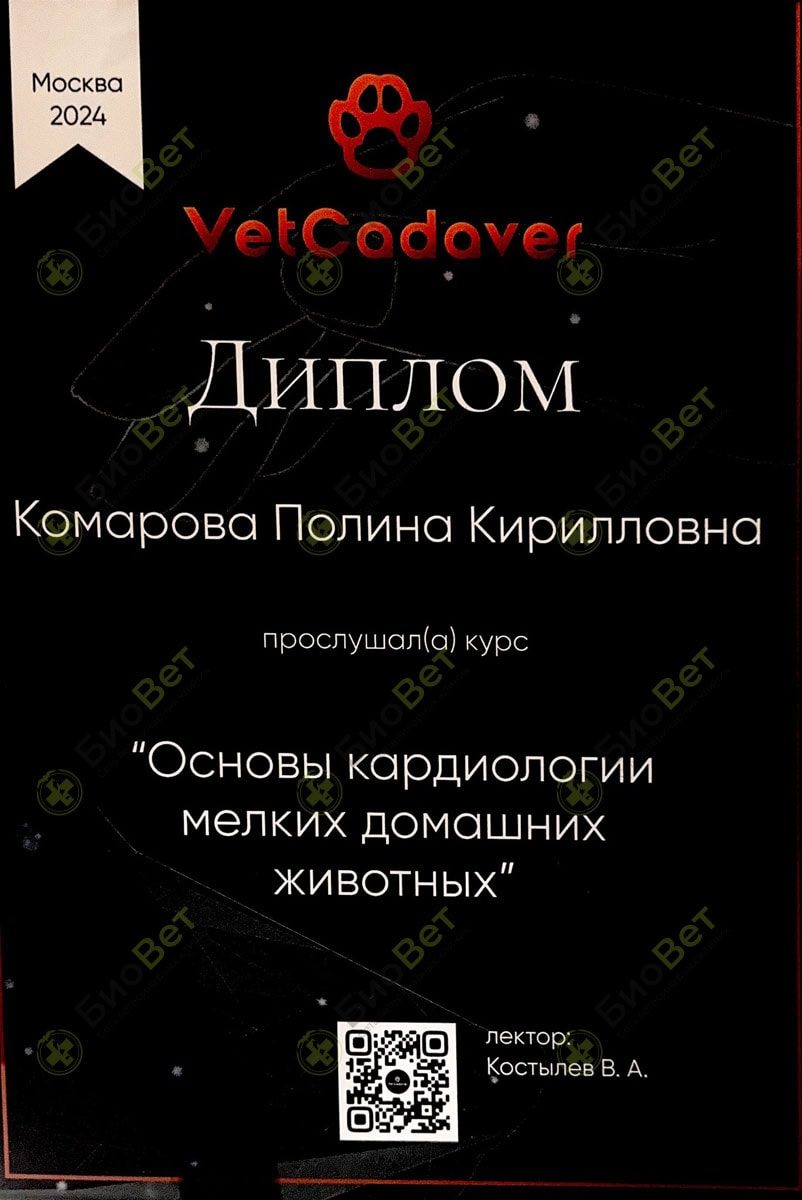 Документ или сертификат