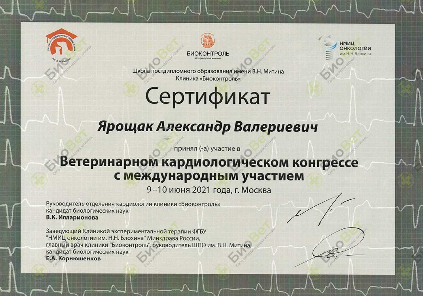 Документ или сертификат