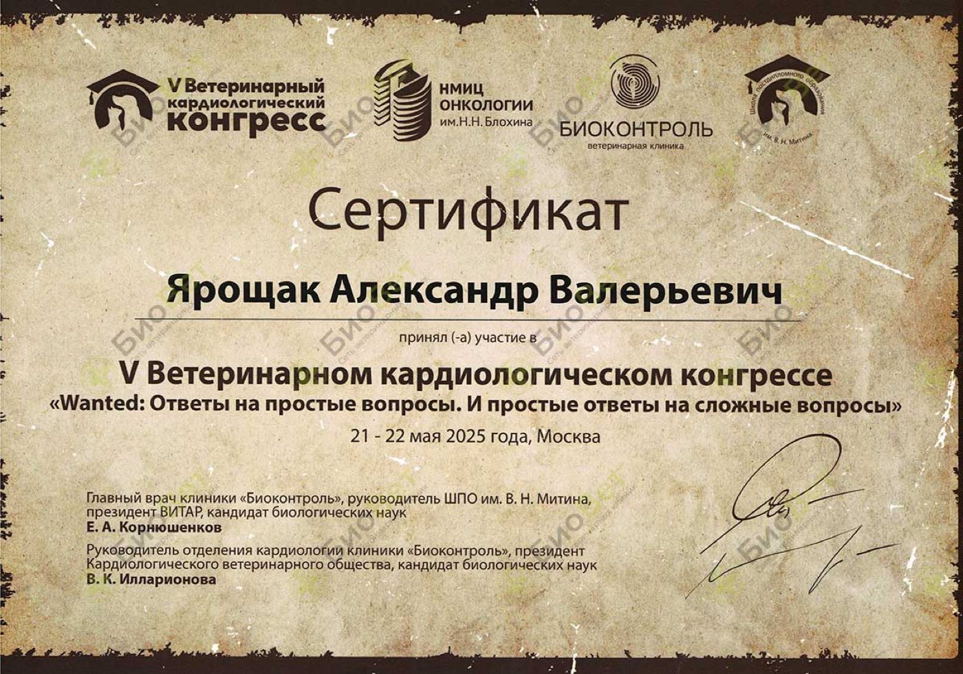 Документ или сертификат