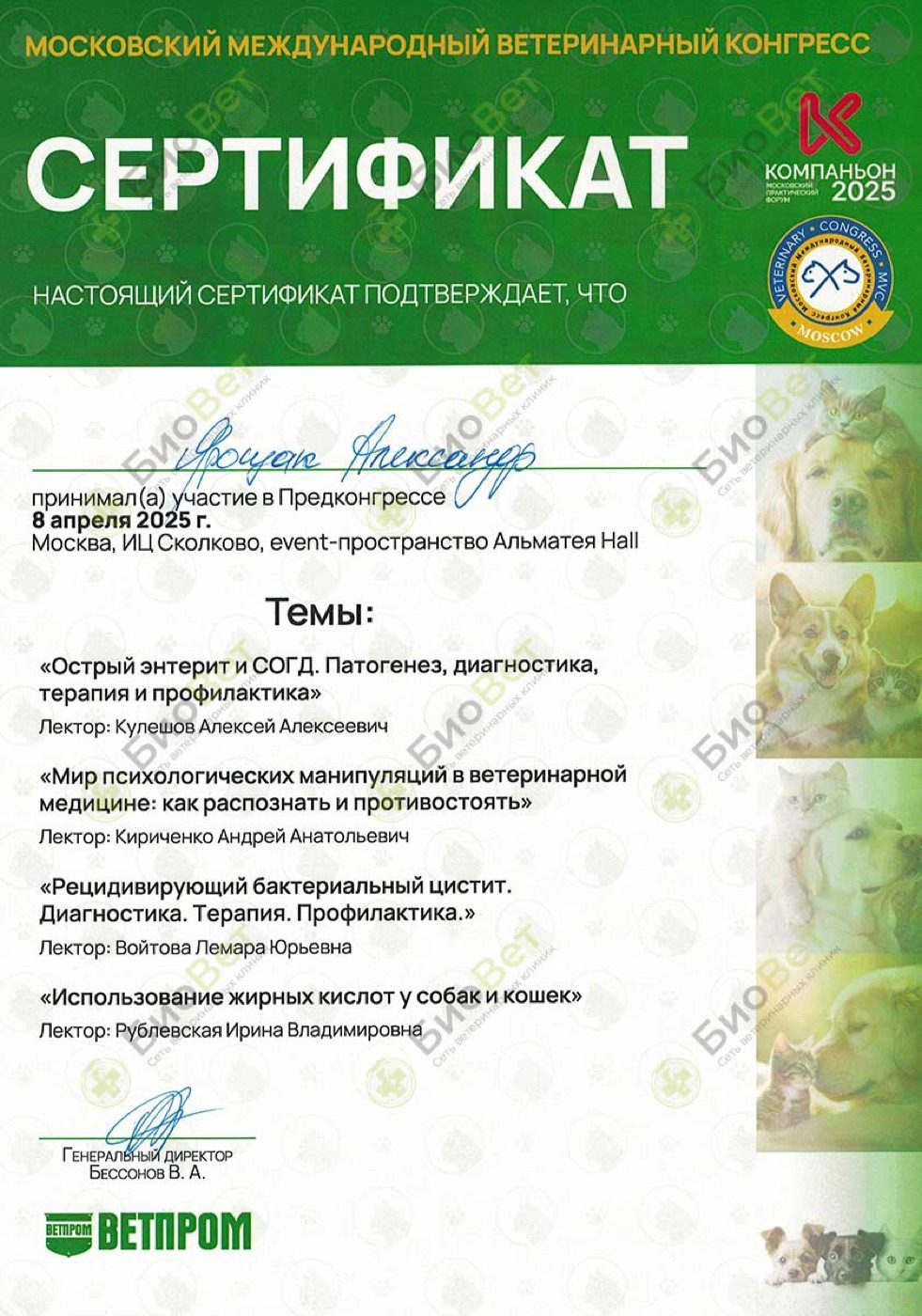 Документ или сертификат