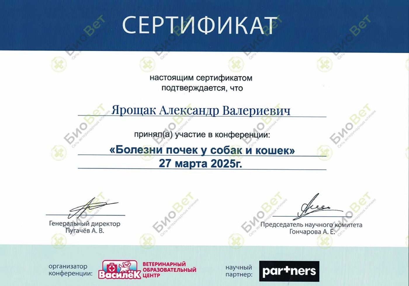 Документ или сертификат