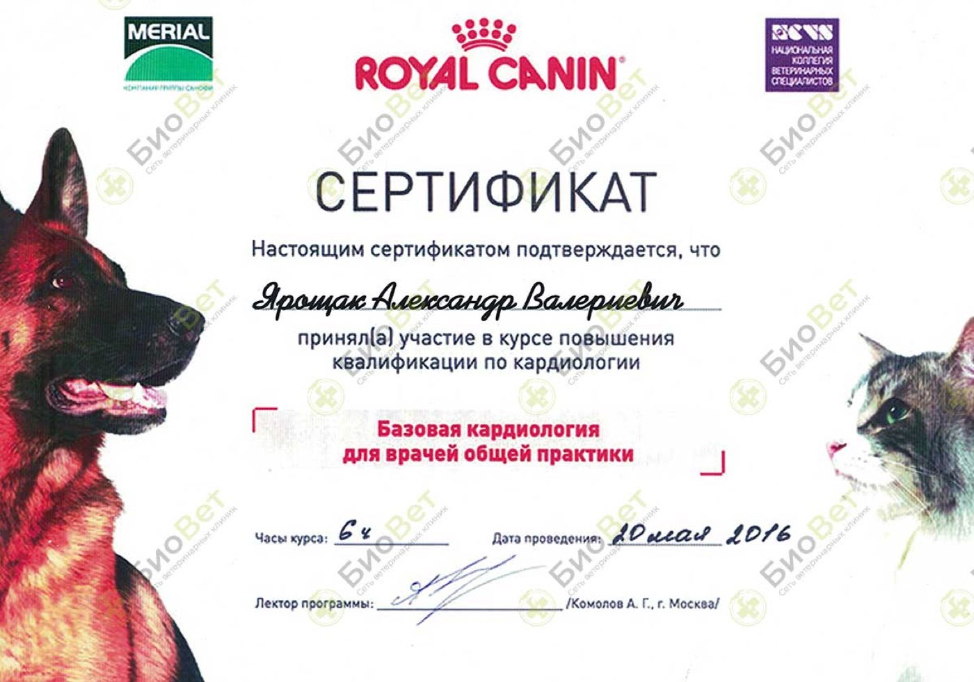 Документ или сертификат