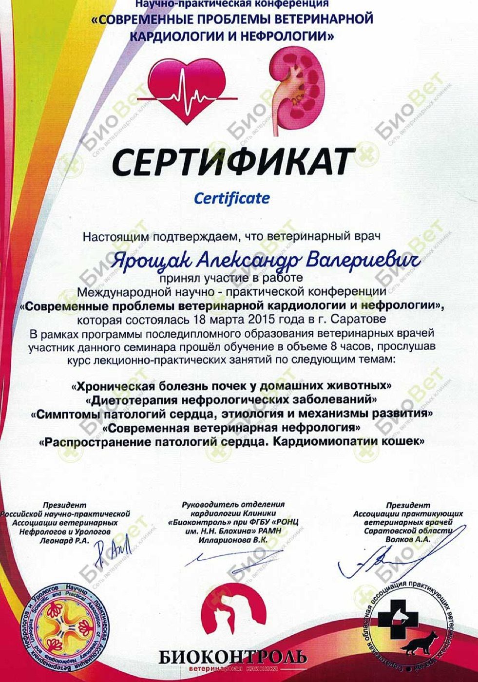 Документ или сертификат