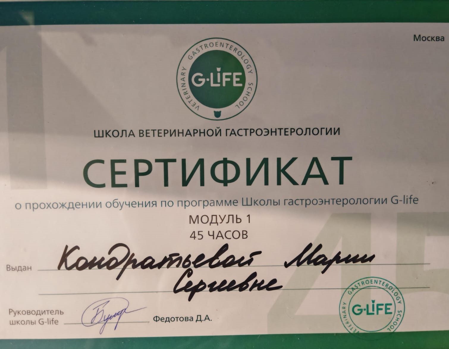 Документ или сертификат