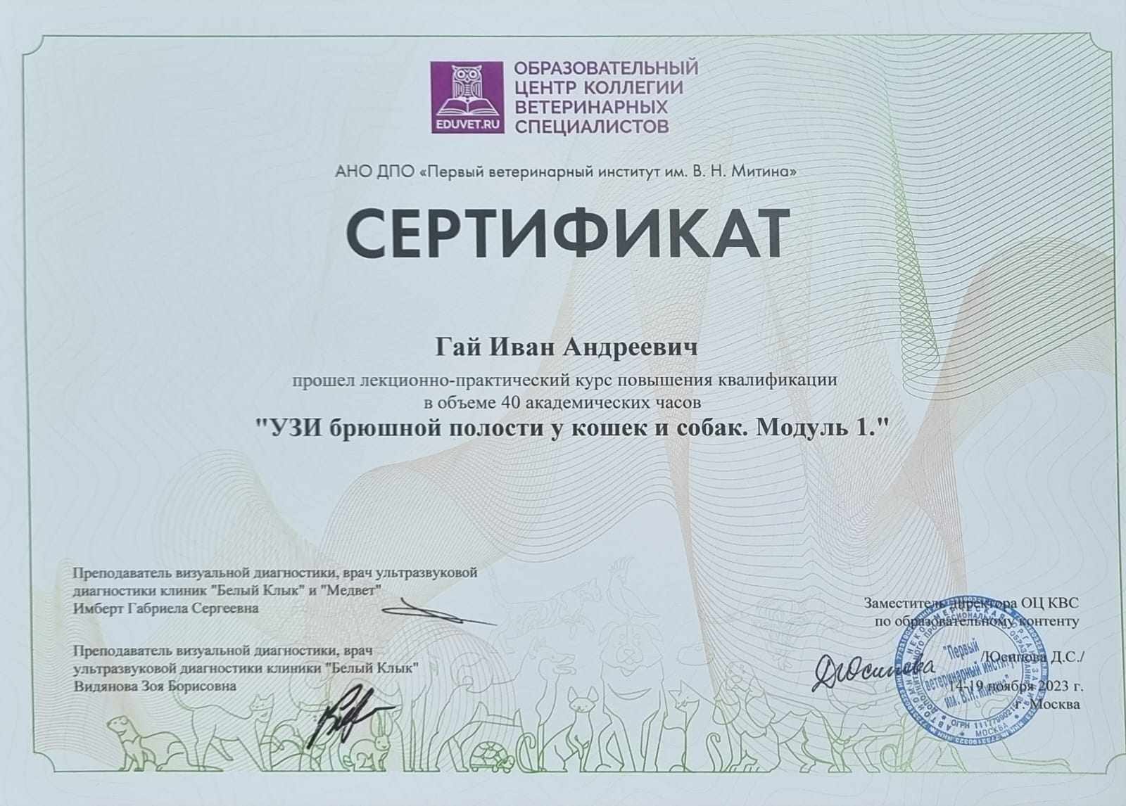 Документ или сертификат