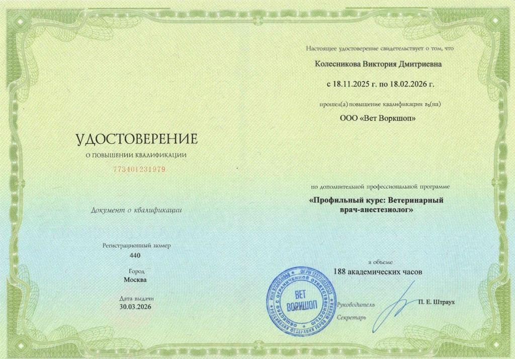 Документ или сертификат