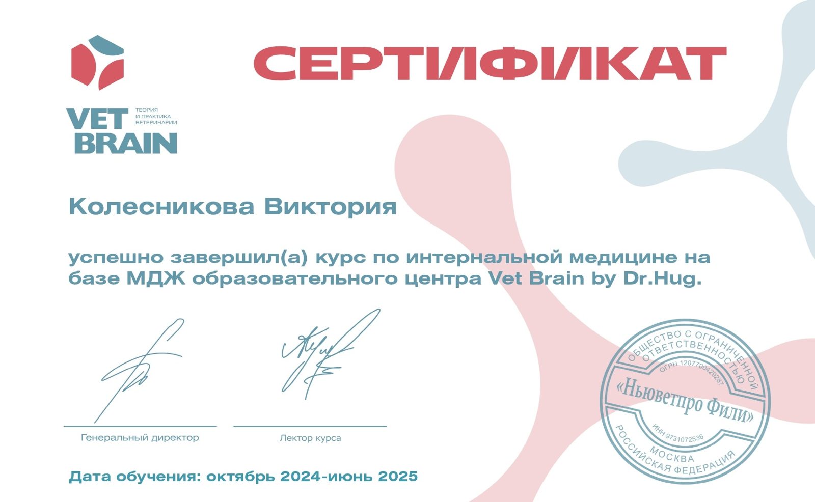 Документ или сертификат