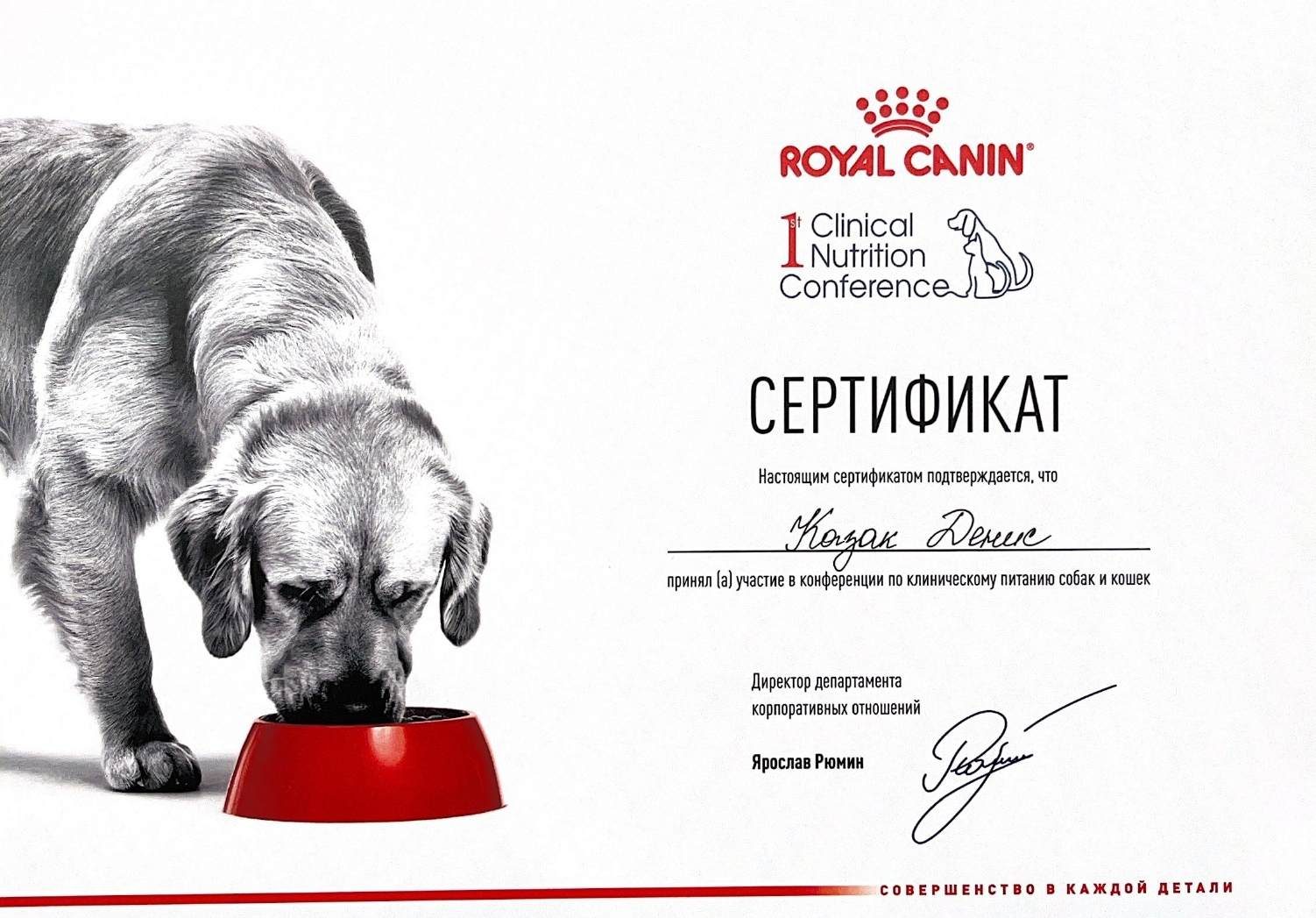 Документ или сертификат