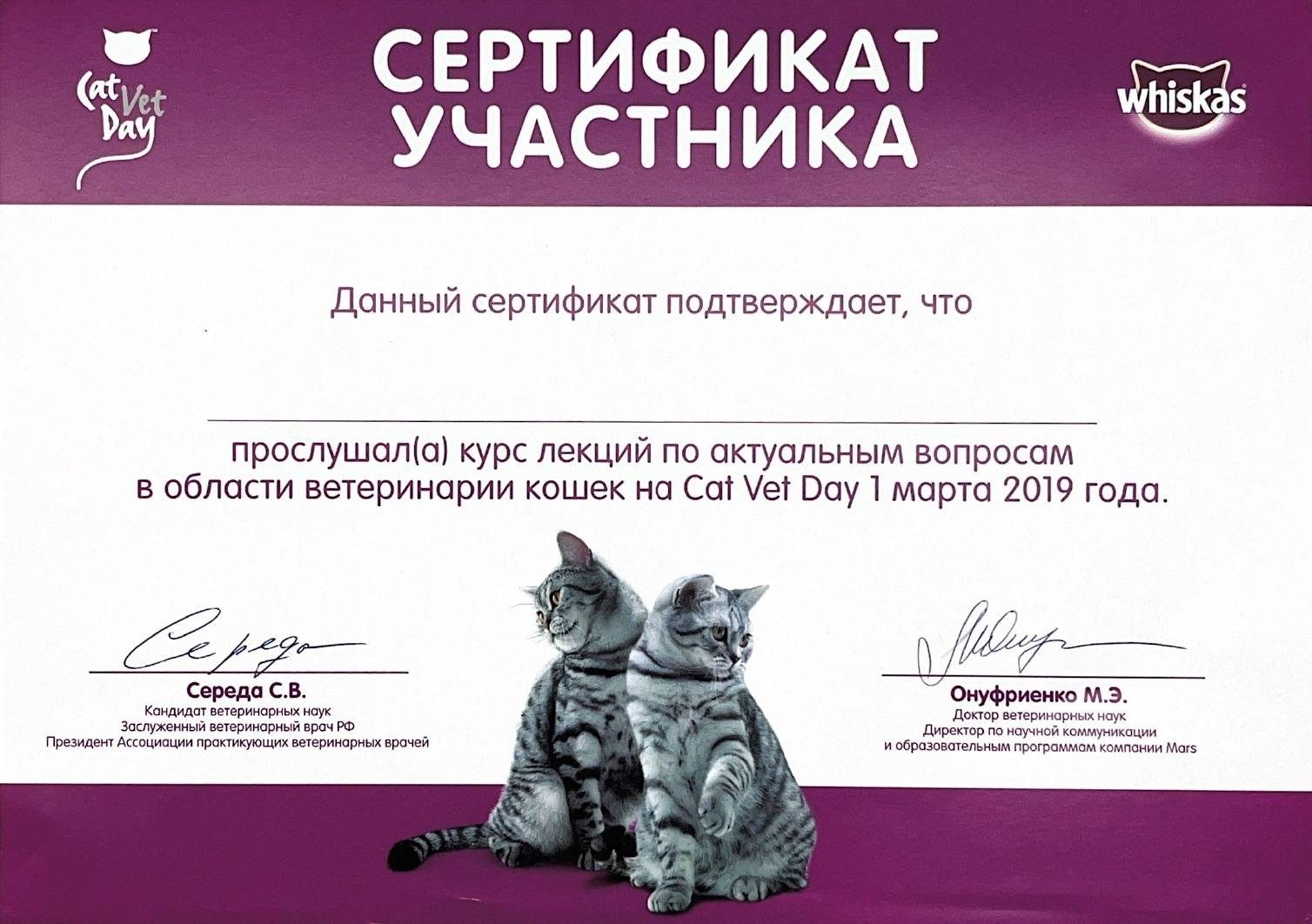 Документ или сертификат