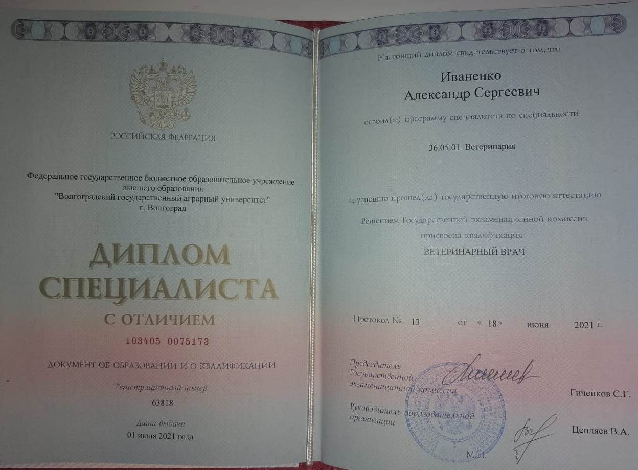 Документ или сертификат