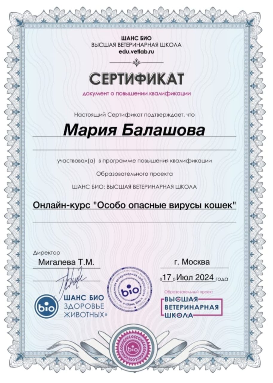 Документ или сертификат