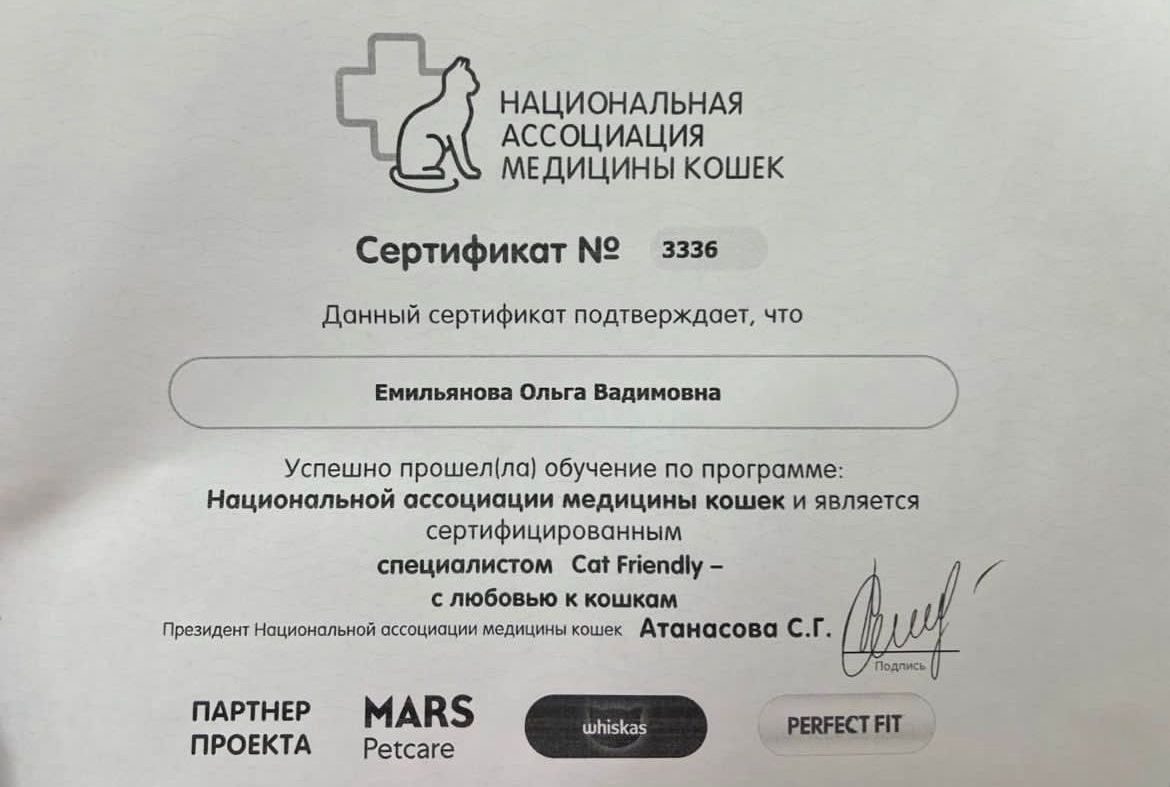 Документ или сертификат