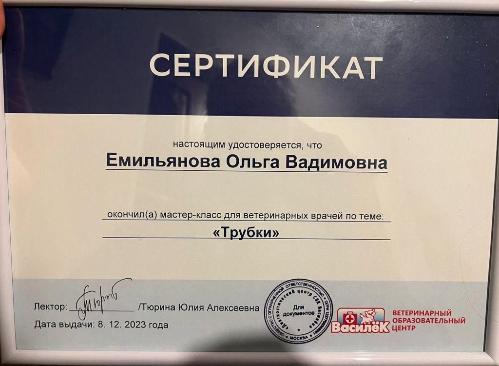 Документ или сертификат