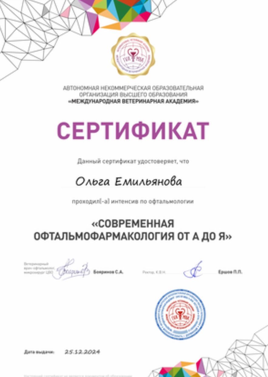 Документ или сертификат