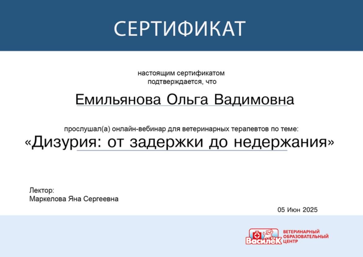 Документ или сертификат
